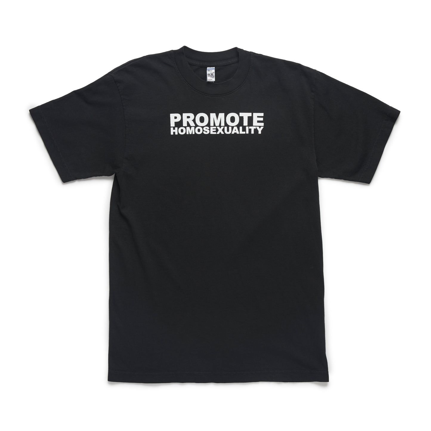 PROMOTE HOMOSEXUALITY SHORT SLEEVE